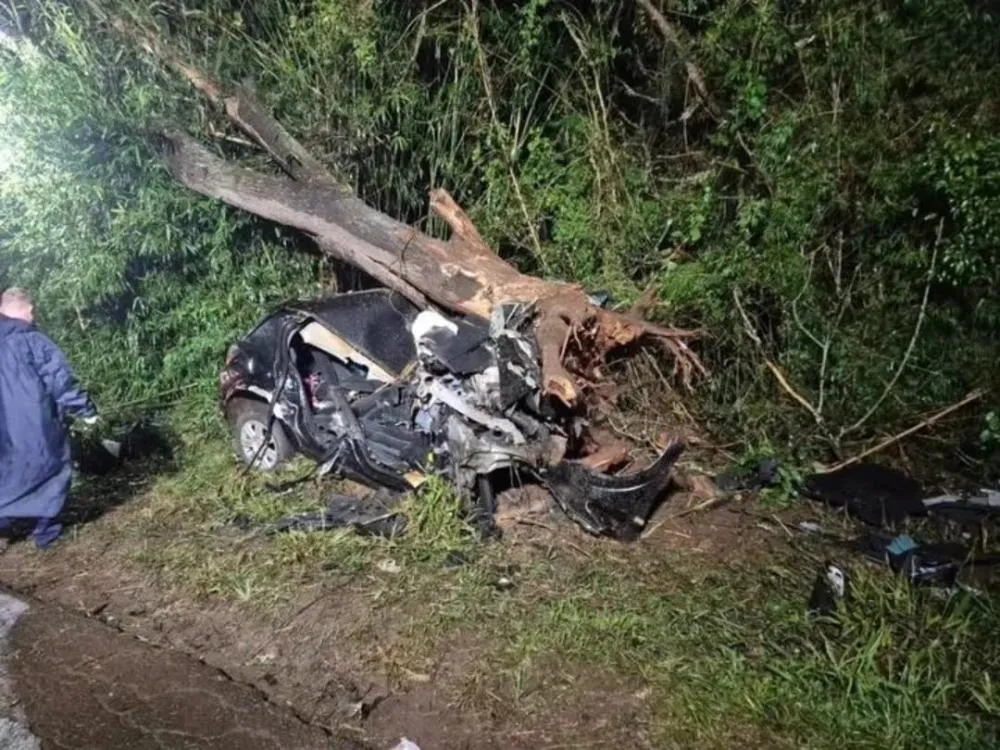 Violenta colisão contra árvore mata duas pessoas na ERS-130 em Lajeado. (Foto: Reprodução)