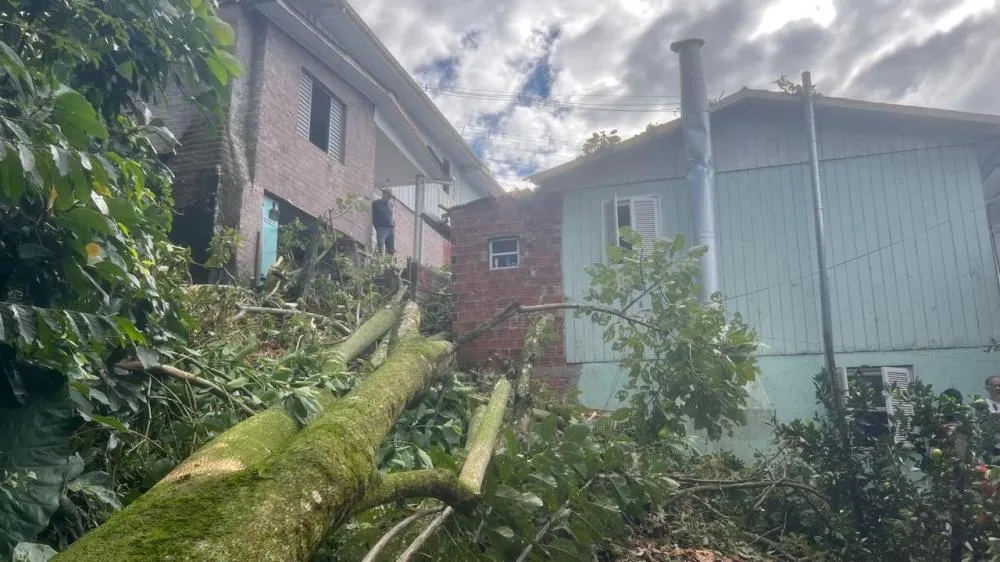O impacto do vegetal causou severos danos estruturais na cobertura e nas paredes do banheiro de alvenaria. (Foto: Bombeiros/BG)