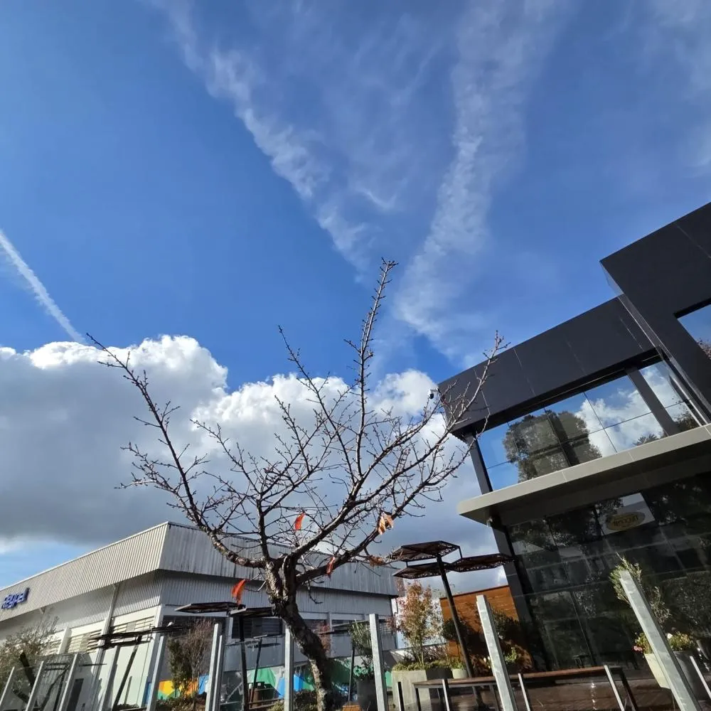 Semana começa com predomínio de sol e temperaturas amenas em Bento Gonçalves