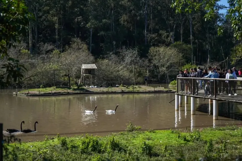 Após descarte de gripe aviária, Zoológico de Sapucaia do Sul reabre