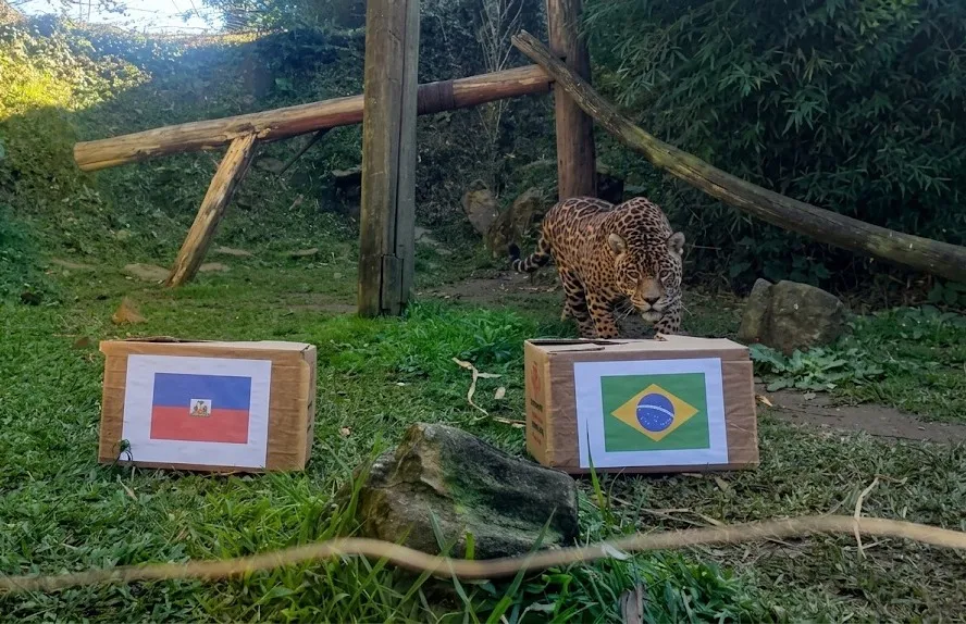 Foto: Reprodução