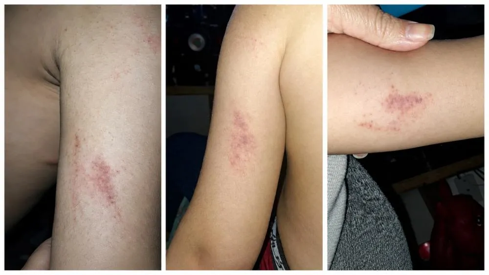 Foto: Arquivo Pessoal/Especial NB Notícias