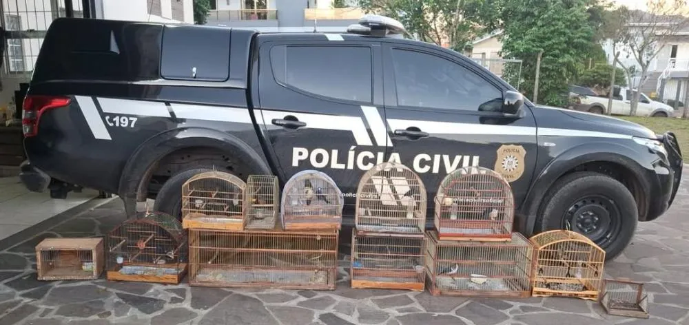 Polícia Civil apreende pássaros silvestres mantidos em cativeiro