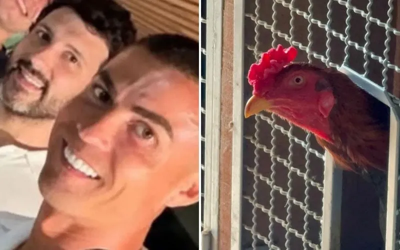 Foto: Reprodução