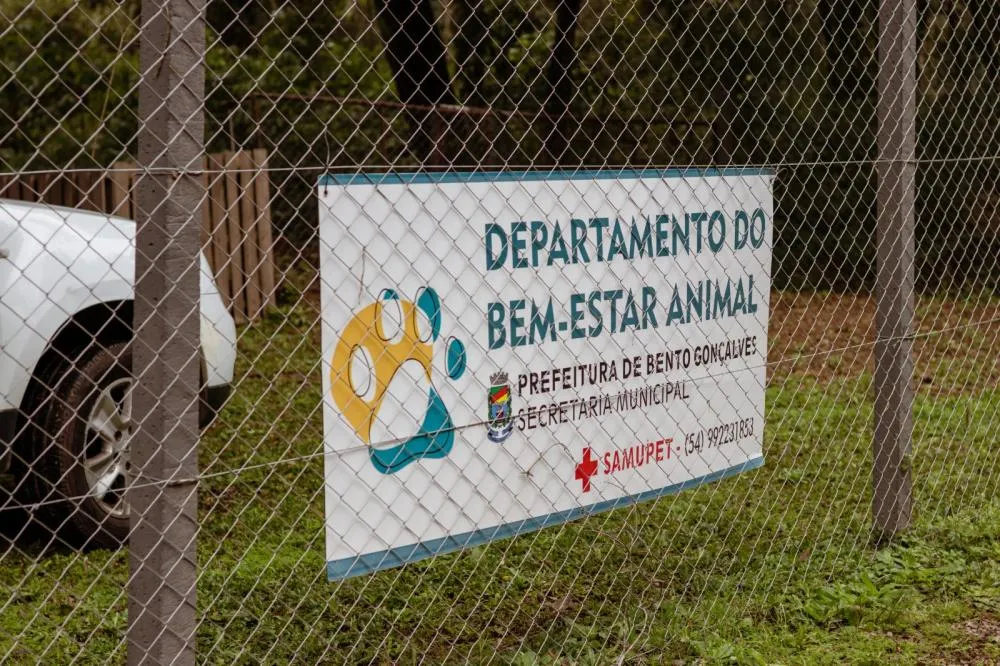 Foto: Reprodução/Divulgação