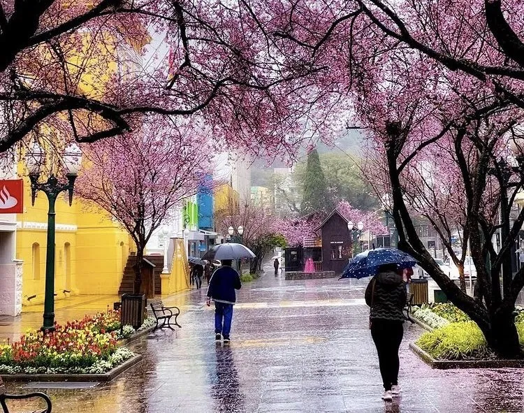 Quinta-feira traz chuva, risco de temporal e instabilidade para Bento
