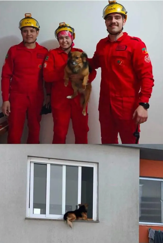 Foto: Bombeiros Voluntários de Carlos Barbosa