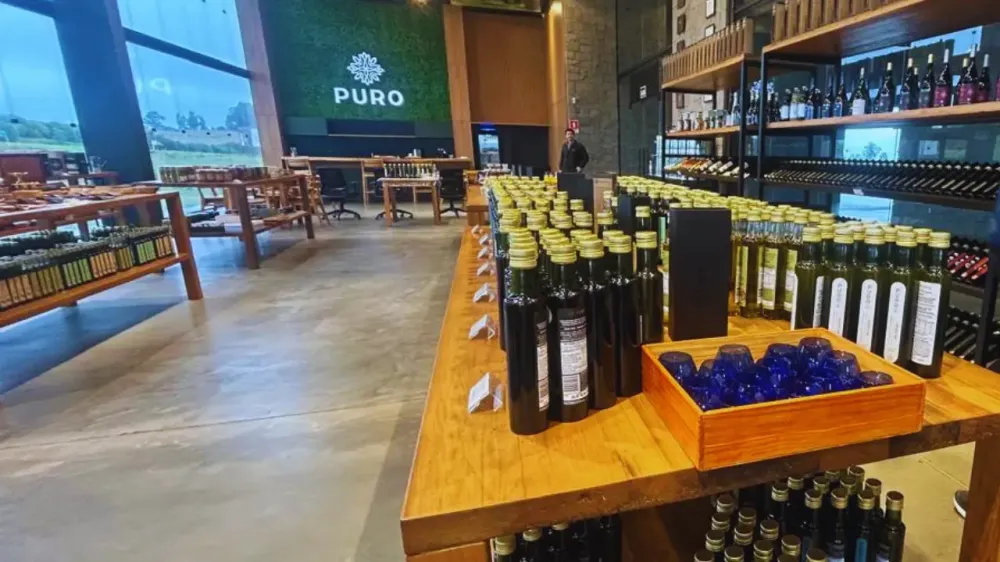 Rota 'BR 290 Azeites e Vinhos' estreia em setembro