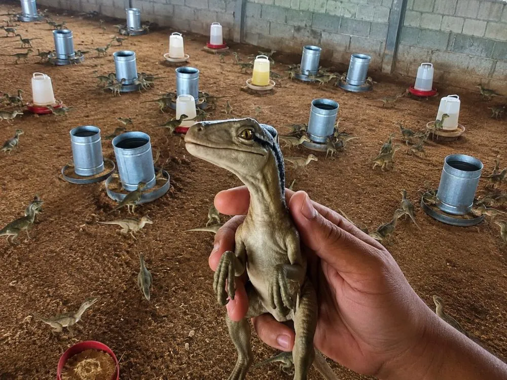 Foto: Reprodução