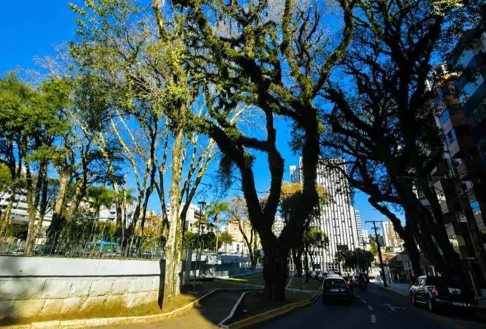 Terça-feira começa fria, mas temperaturas sobem em Bento Gonçalves