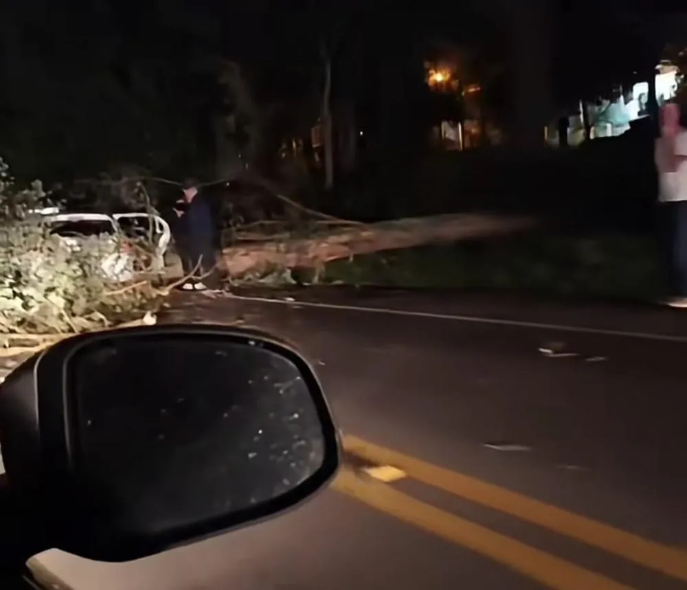 Árvore cai sobre a BR-470 e atinge veículo de passeio