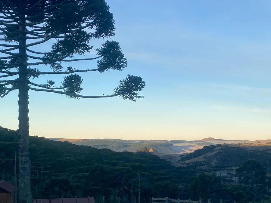 Massa de ar polar traz possibilidade de neve na Serra Gaúcha