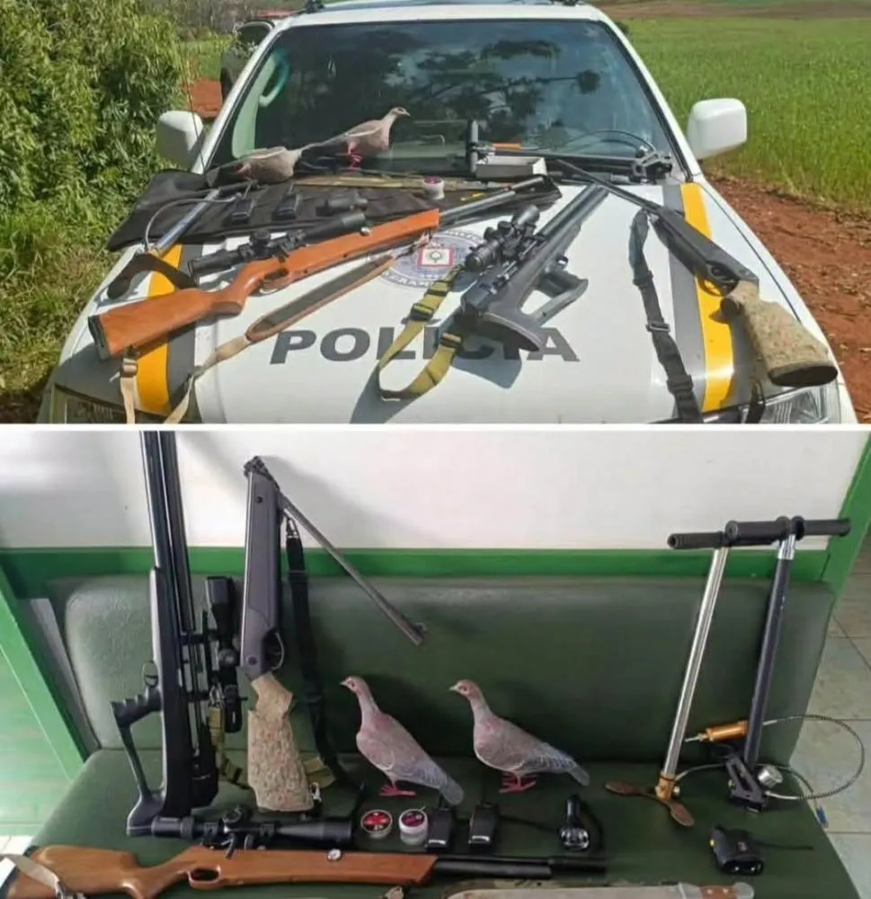 Foto: Divulgação/BM