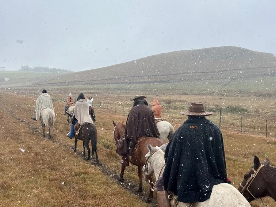 Turistas são surpreendidos por neve nos Campos de Cima da Serra