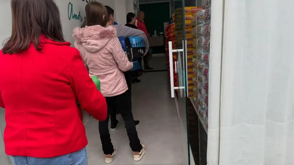 Nova Prata atinge 172 castrações de cães e gatos com Castramóvel