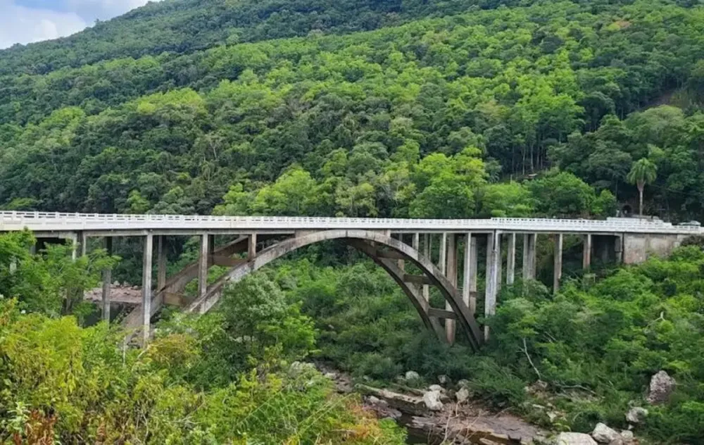 Foto: Reprodução