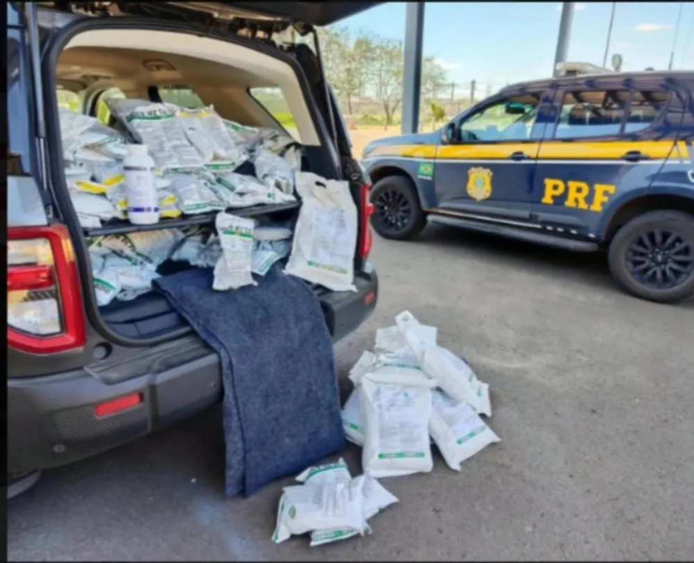 Foto: PRF/Divulgação