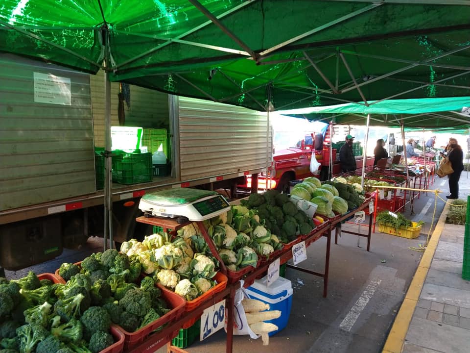 (Reprodução Facebook)