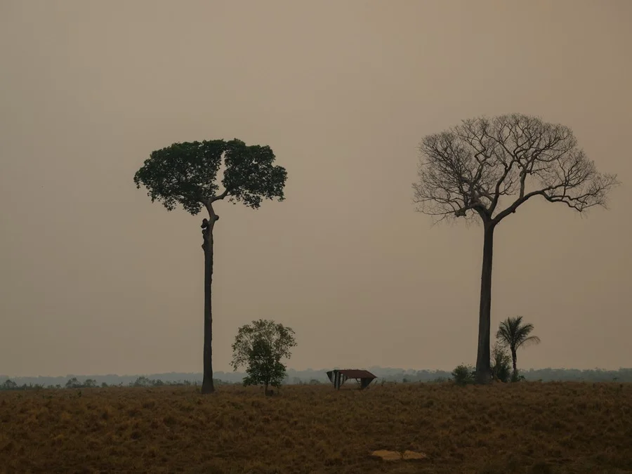 Foto: Agência Brasil