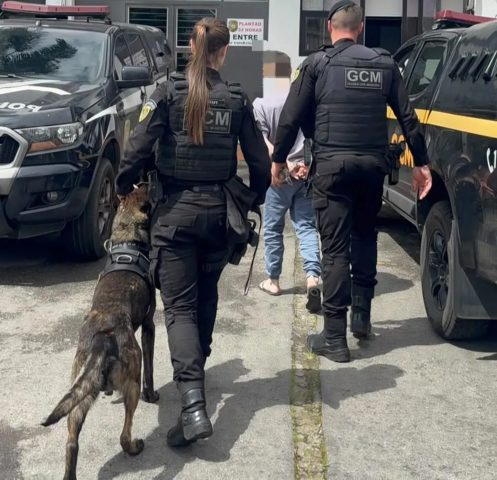 Foto: Semseg/Divulgação