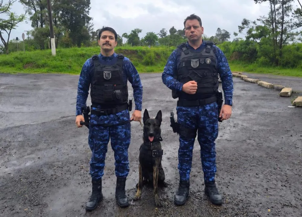 Foto: Semseg/Divulgação