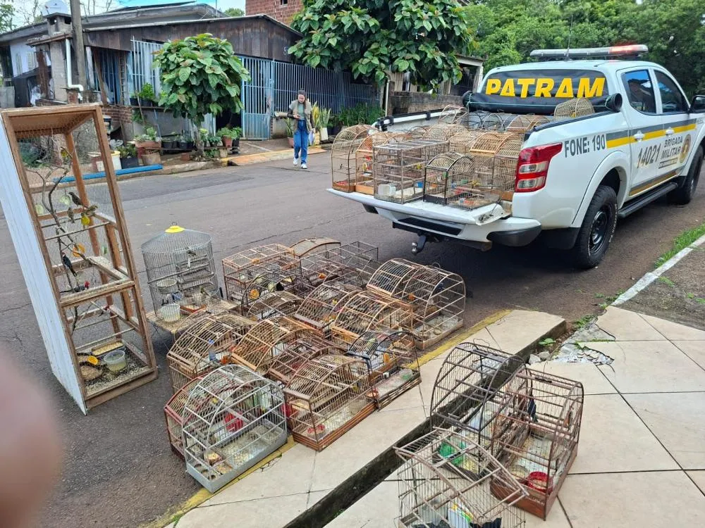 Foto: Reprodução