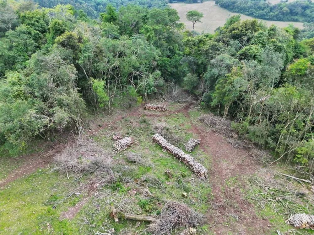 Foto: BM/Divulgação