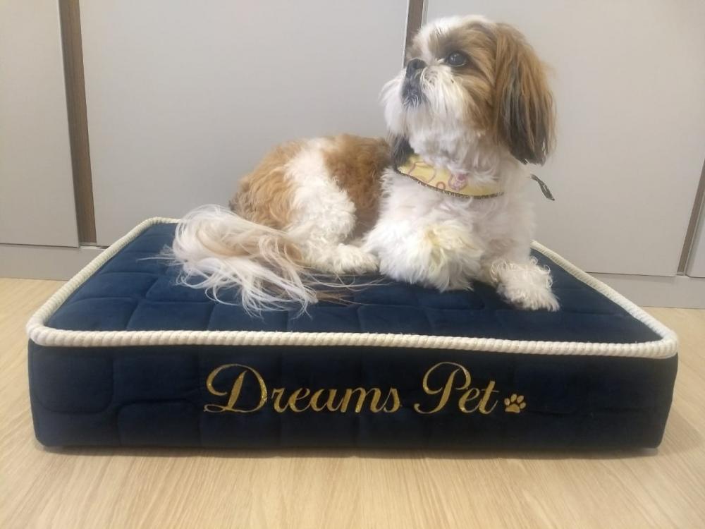 Errar é humano, perdoar é canino!