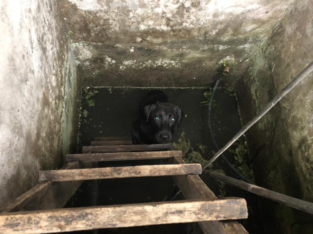 (Foto: Divulgação Bombeiros)