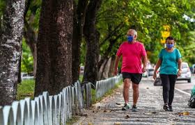 Divulgação (diariodepernambuco)