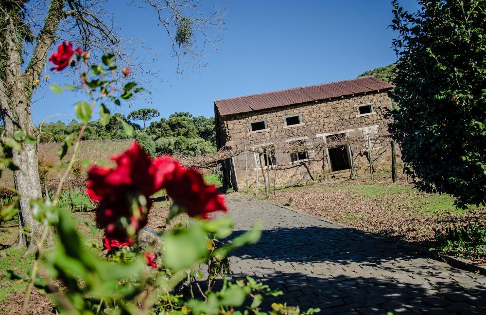 (Foto: Jorge Bronzato Jr./Arquivo)
