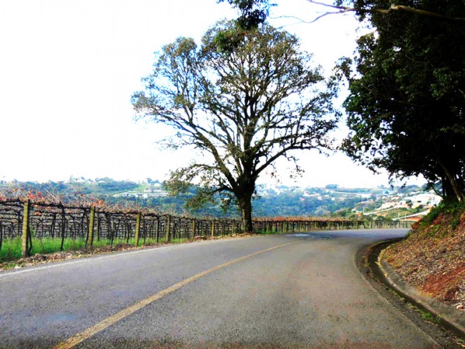 Vereador de Bento Gonçalves sugere a criação de um novo distrito