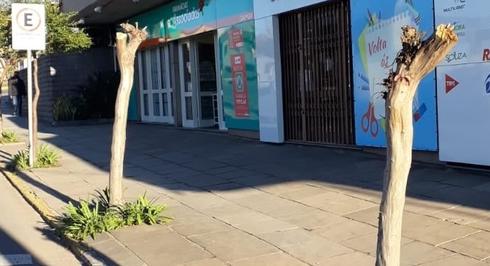 Ambientalistas criticam podas radicais e cobram mais fiscalização em Bento