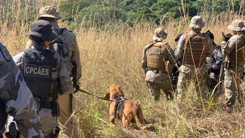  Divulgação/Corpo de Bombeiros de Goiás - (Foto: Divulgação/Corpo de Bombeiros de Goiás)