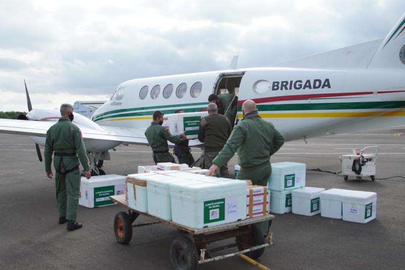 (Grégori Bertó/Divulgação)