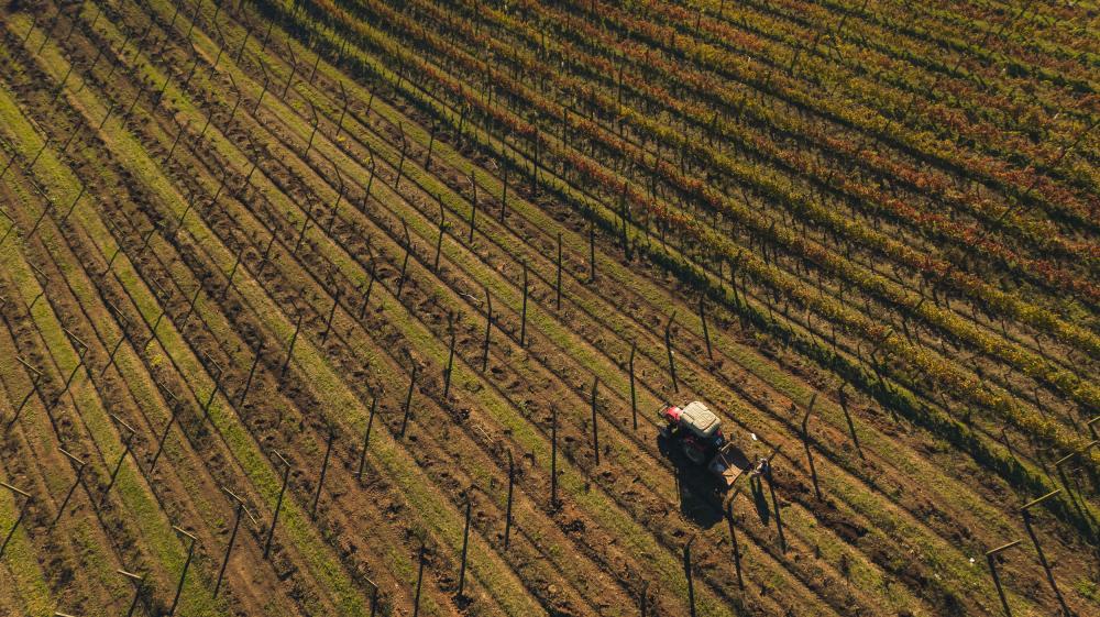 Foto: Fabiano Sperotto/Divulgação
