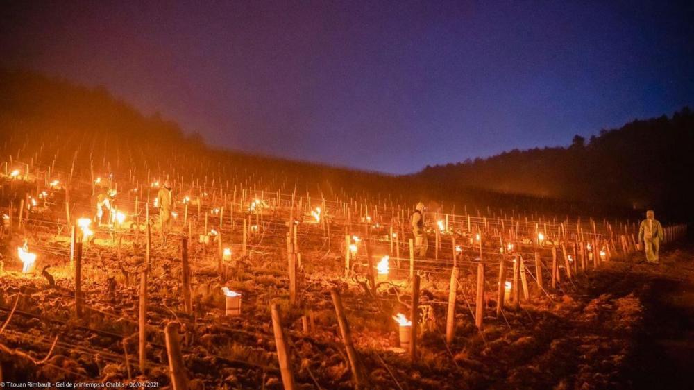Vídeo com imagens de tochas aquecendo parreirais não é no Vale dos Vinhedos