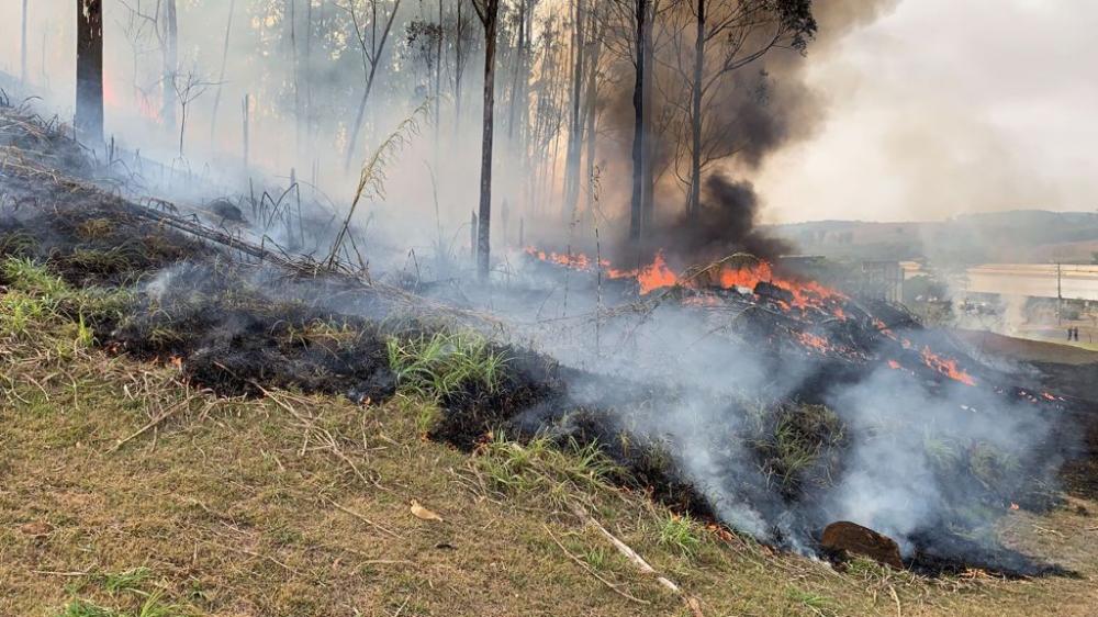 Sete pessoas morrem em queda de avião no interior de São Paulo