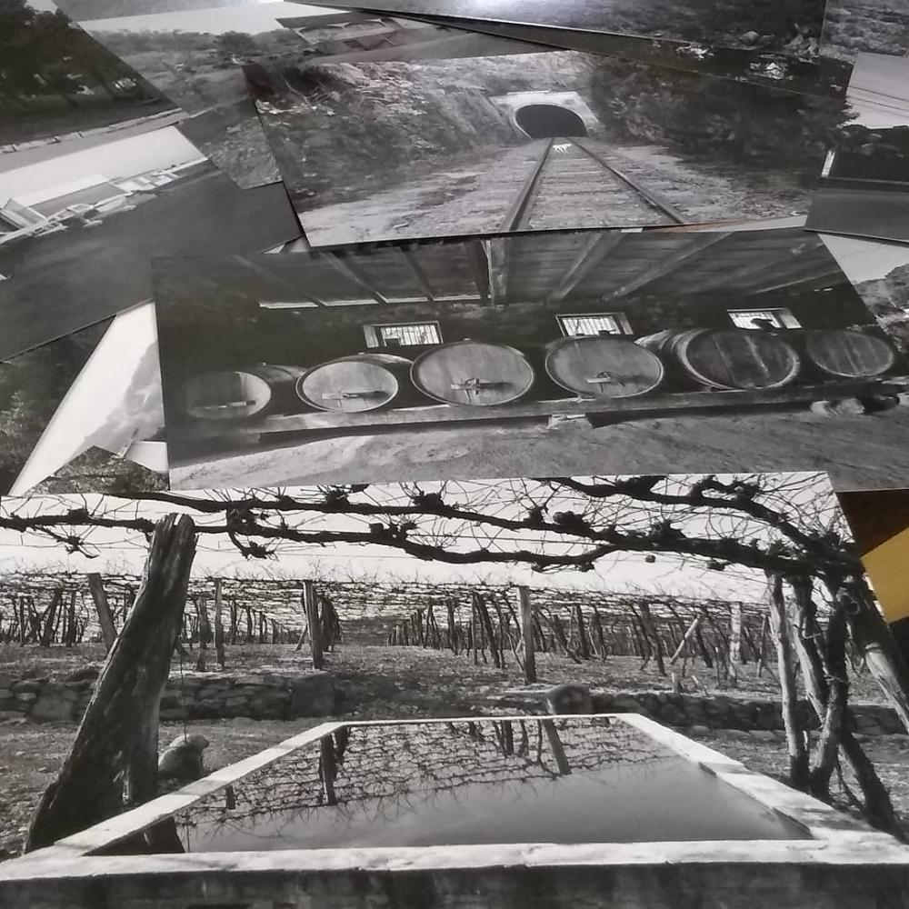 Jornalista Fabiano Mazzotti usou seu talento fotográfico para incentivar a escrita e leitura dos alunos das escolas de Bento Gonçalves - Fotos: Fabiano Mazzotti