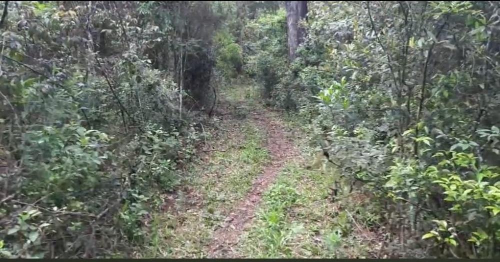 Corpo foi localizado parcialmente enterrado em um matagal.