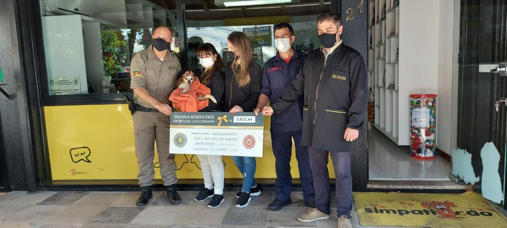 Campanha arrecada quase R$ 6 mil para ajudar cãozinho jogado em barranco em Bento Gonçalves