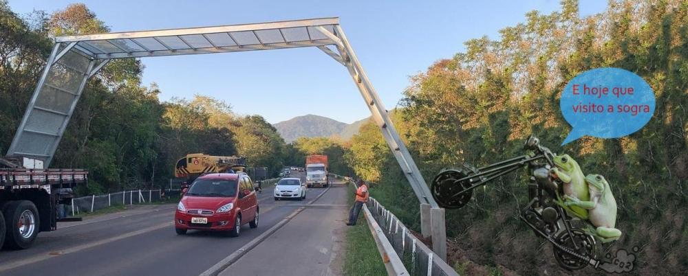 Memes da travessia de anfíbios viralizaram nas redes sociais