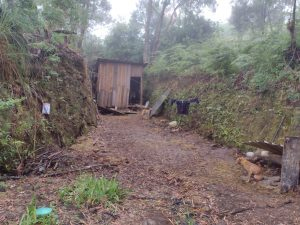 Local era utilizado por ladrões para esconder cavalos furtados na região