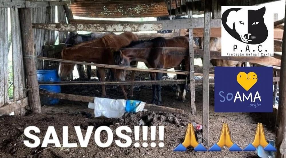 (Reprodução Facebook)