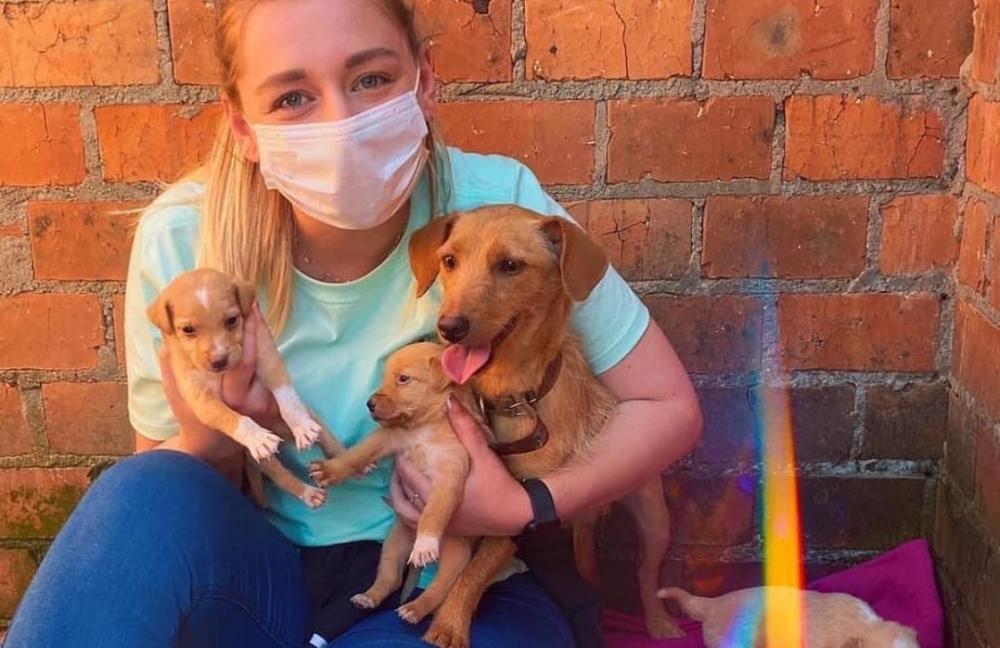 (Fotos: Divulgação)