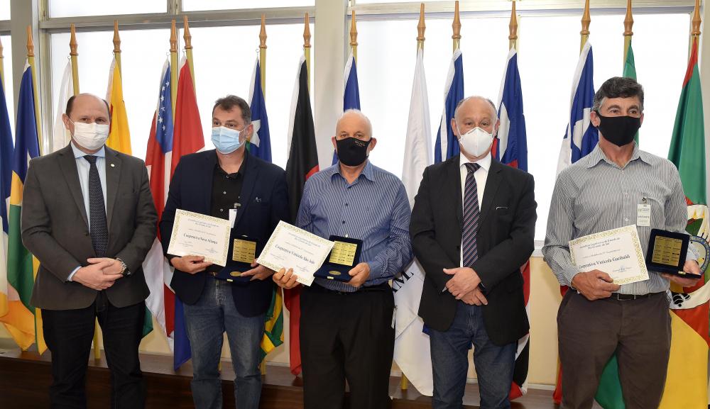 Vinícola Garibaldi recebe homenagem da Assembleia Legislativa