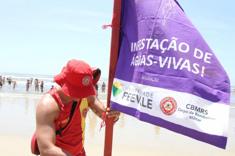 Litoral gaúcho sofre com infestação de águas-vivas nas praias