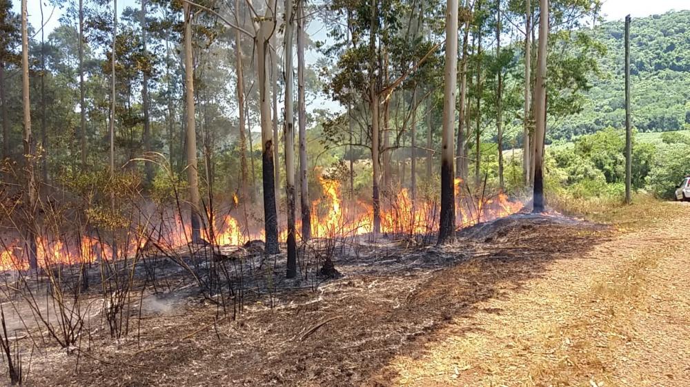 Somente em dezembro, Bombeiros de Bento já combateram 35 incêndios em vegetação