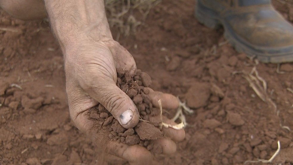 Estiagem já deixa 96 municípios gaúchos com situação de emergência decretada