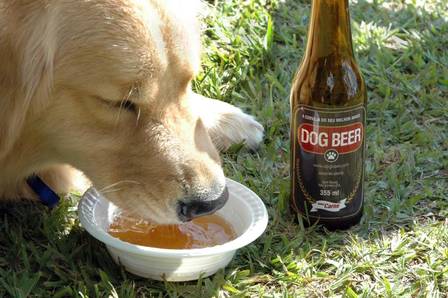 A cerveja canina é um mimo, um produto especial para seu pet